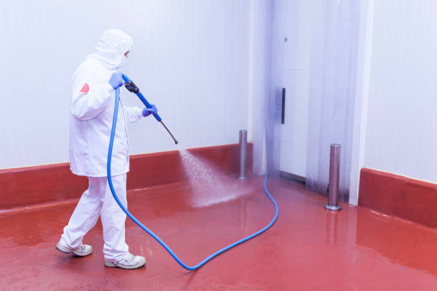 Best Pre-Holiday Cleaning  in Levittown, PA